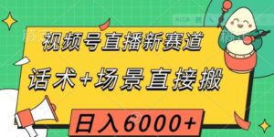视频号直播新赛道，话术+场景直接搬，日入6000+【揭秘】-大磊资源网