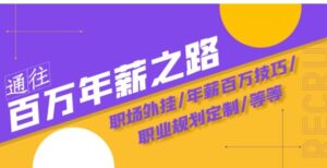 通往百万年薪之路·陪跑训练营：职场外挂/年薪百万技巧/职业规划定制/等等-大磊资源网