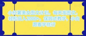 小红薯美女图文计划，每天发图文，轻松日入2000+，保姆式教学，小白跟着学就行-大磊资源网