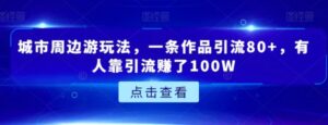 城市周边游玩法，一条作品引流80+，有人靠引流赚了100W【揭秘】-大磊资源网