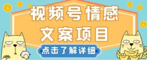视频号情感文案项目，简单操作，新手小白轻松上手日入200+【揭秘】-大磊资源网