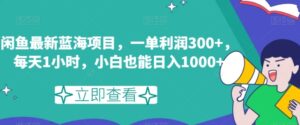 闲鱼最新蓝海项目，一单利润300+，每天1小时，小白也能日入1000+【揭秘】-大磊资源网