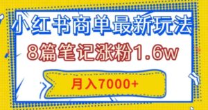 小红书商单最新玩法，8篇笔记涨粉1.6w，几分钟一个笔记，月入7000+-大磊资源网