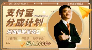 日入2000+的支付宝分成计划，刷爆播放量收益-大磊资源网