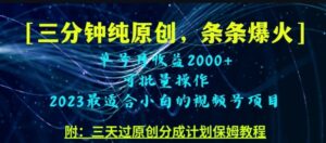 三分钟制作视频号纯原创，条条爆款，轻松月入过万【揭秘】-大磊资源网