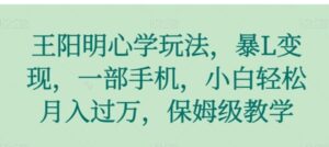 王阳明心学玩法，暴L变现，一部手机，小白轻松月入过万，保姆级教学【揭秘】-大磊资源网