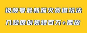 视频号最新爆火赛道玩法，几秒视频可达百万播放，小白即可操作-大磊资源网