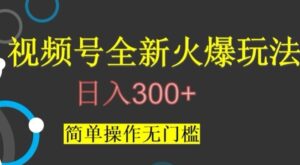视频号最新爆火玩法，日入300+，简单操作无门槛【揭秘】-大磊资源网