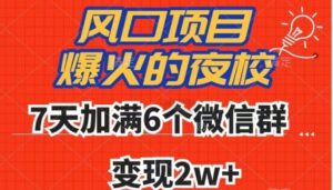 全网首发，爆火的夜校，7天加满6个微信群，变现2w+【揭秘】-大磊资源网