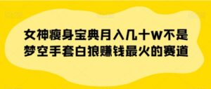 女神瘦身宝典月入几十W不是梦空手套白狼赚钱最火的赛道【揭秘】-大磊资源网