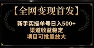 【全网变现首发】新手实操单号日入500+，渠道收益稳定，项目可批量放大【揭秘】-大磊资源网