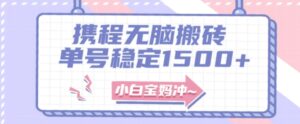 无门槛搬砖项目玩法，无脑搬运复制单号月入1500+，矩阵操作收益更高-大磊资源网