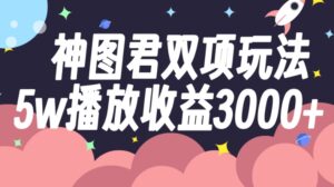 神图君双项玩法5w播放收益3000+-大磊资源网