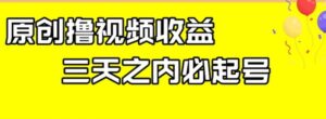 最新撸视频收益，三天之内必起号，一天保底100+【揭秘】-大磊资源网