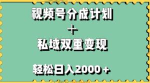 视频号分成计划＋私域双重变现，轻松日入1000＋，无任何门槛，小白轻松上手-大磊资源网