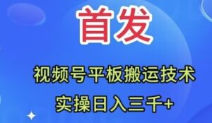 全网首发：视频号平板搬运技术，实操日入三千＋-大磊资源网