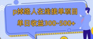 p掉路人项目日入300-500在线接单外面收费1980【揭秘】-大磊资源网