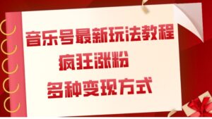 音乐号最新玩法教程，疯狂涨粉，多种拓展变现方式-大磊资源网