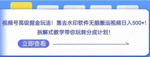 视频号高级掘金玩法，靠去水印软件无脑搬运视频日入500+，拆解式教学带你玩转分成计划【揭秘】-大磊资源网