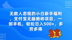 无数人忽视的项目，支付宝无脑搬砖项目，一部手机即可操作，轻松日入500+-大磊资源网