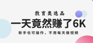 一天竟然赚了6000多，教育类选品，新手也可操作，更不用每天做短视频【揭秘】-大磊资源网