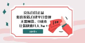 京东自营正品,低价渠道,自建平台变现，无需囤货，0成本，让你快速月入3w＋-大磊资源网