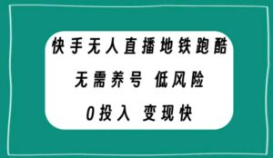 快手无人直播地铁跑酷，无需养号，低投入零风险变现快-大磊资源网