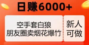 空手套白狼，朋友圈卖烟花爆竹，日赚6000+【揭秘】-大磊资源网