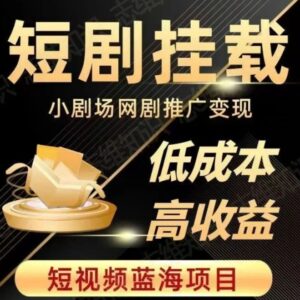 2023短视频蓝海项目，抖音快手短剧推广变现教程，低成本高收益-大磊资源网
