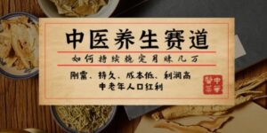 公众号付费文章：中医养生赛道，如何持续稳定月赚几万-大磊资源网