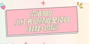 价值980小红书赏颜掘金项目-大磊资源网
