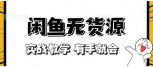 新手必看！实战闲鱼教程，看完有手就会做闲鱼无货源！【揭秘】-大磊资源网