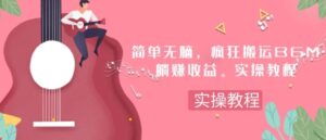 简单无脑，疯狂搬运BGM，一次躺赚30刀收益。实操教程-大磊资源网