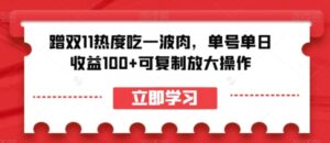 蹭双11热度吃一波肉，单号单日收益100+可复制放大操作【揭秘】-大磊资源网
