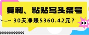 复制、粘贴写头条号，10分钟1篇，30天净赚5360.42元？-大磊资源网
