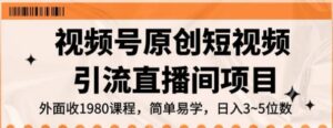 视频号原创短视频引流直播间项目，日入3~5五位数【揭秘】-大磊资源网