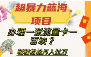 超暴力蓝海项目，办理一张流量卡一百块？轻轻松松月入过万，保姆级教程【揭秘】-大磊资源网