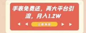 手表免费送，两大平台引流，月入1.2W【揭秘】-大磊资源网