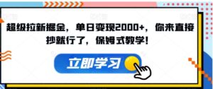超级拉新掘金，单日变现2000+，你来直接抄就行了，保姆式教学！【揭秘】-大磊资源网