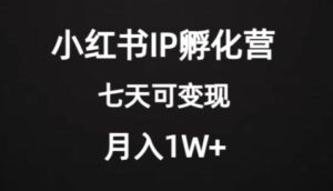 价值2000+的小红书IP孵化营项目，超级大蓝海，七天即可开始变现，稳定月入1W+-大磊资源网