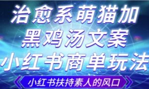 治愈系萌猫加+黑鸡汤文案，小红书商单玩法，3~10天涨到1000粉，一单200左右-大磊资源网