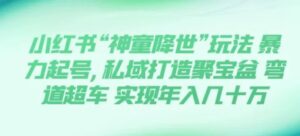 小红书“神童降世”玩法暴力起号,私域打造聚宝盆弯道超车实现年入几十万-大磊资源网