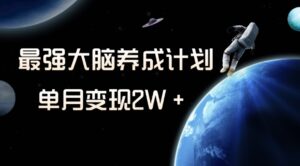冷门虚拟项目，最强大脑养成计划，一个月变现2W＋-大磊资源网