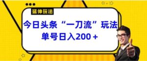 今日头条独家“一刀流”玩法单号日入200+-大磊资源网