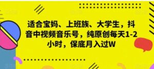 适合宝妈、上班族、大学生，抖音中视频音乐号，纯原创每天1-2小时，保底月入过W-大磊资源网