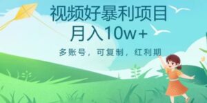 外边收费699项目，视频号暴利项目，多账号可复制，红利期-大磊资源网