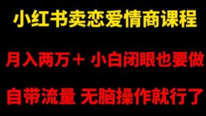 小红书卖恋爱情商课程，月入两万＋，小白闭眼也要做，自带流量，无脑操作就行了【揭秘】-大磊资源网