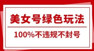 美女号引流变现新玩法，长期蓝海纯绿色，不封号不违规，每日收益500+-大磊资源网