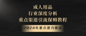2024年重点潜力赛道，成人用品行业深度分析，重点渠道引流保姆教程【揭秘】-大磊资源网