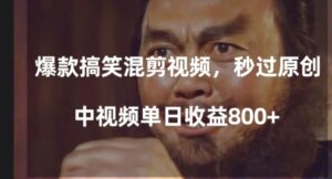 爆款搞笑混剪视频，百分百过原创，单日中视频播放收益800+【揭秘】-大磊资源网